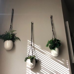 Fake Hanging Plant Decor